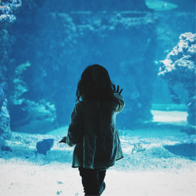 rear view of a kid staring a aquarium pool